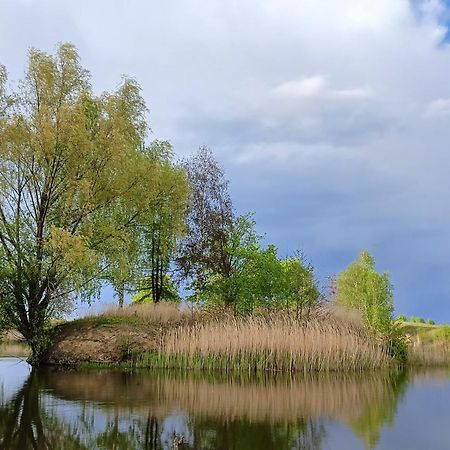 Gniazdo W Felicjanowie Uniejow Exteriér fotografie
