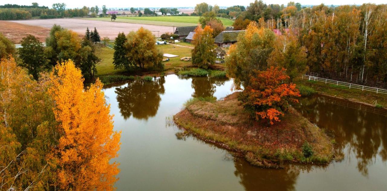 Gniazdo W Felicjanowie Uniejow Exteriér fotografie