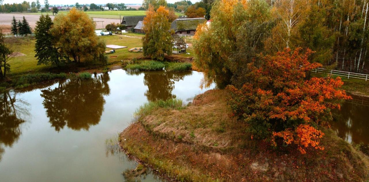 Gniazdo W Felicjanowie Uniejow Exteriér fotografie