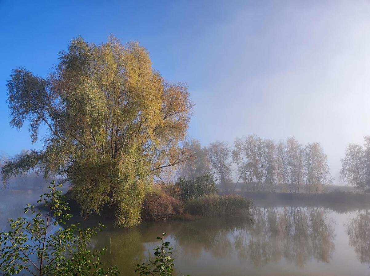 Gniazdo W Felicjanowie Uniejow Exteriér fotografie