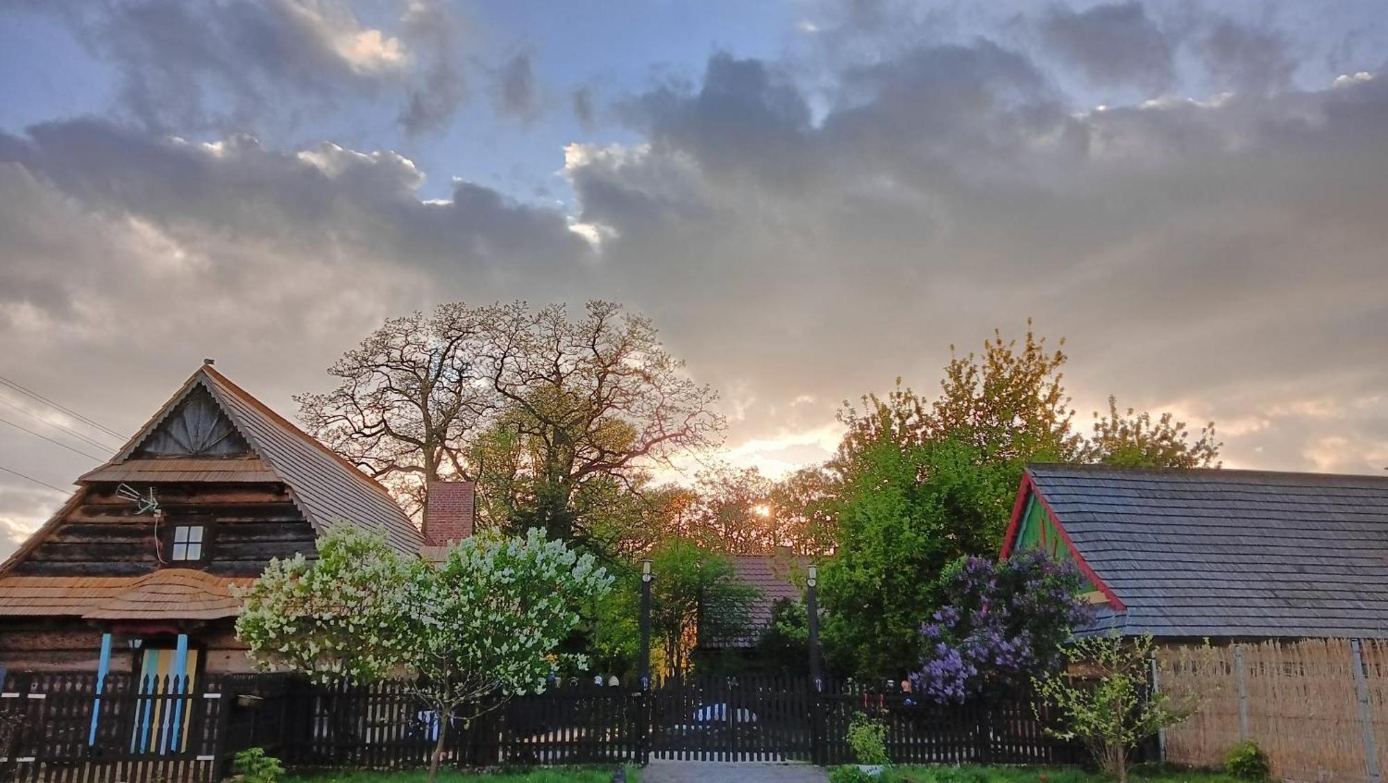 Gniazdo W Felicjanowie Uniejow Exteriér fotografie